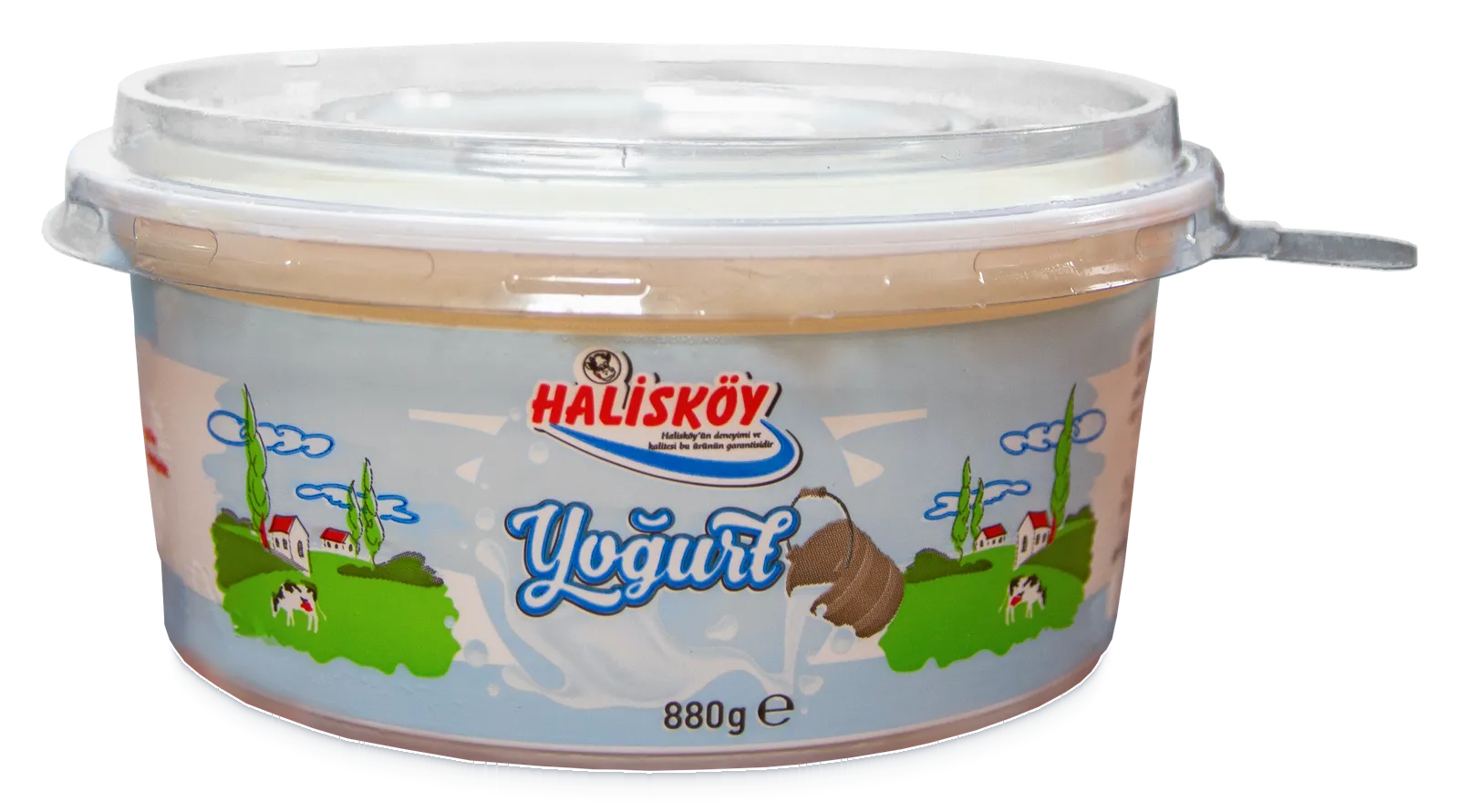 Halisköy yoğurt, 880 g